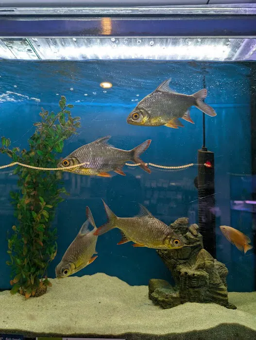 Maidenhead Aquatics Ponteland Picture 10