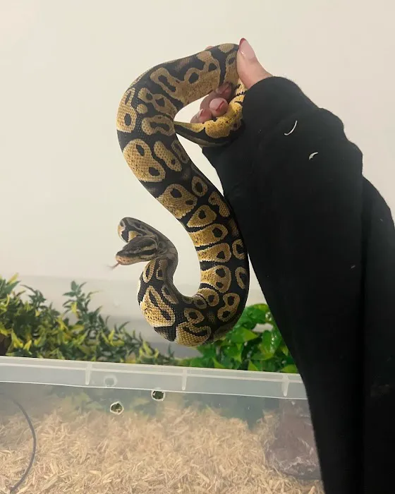 Exotic World Picture 2