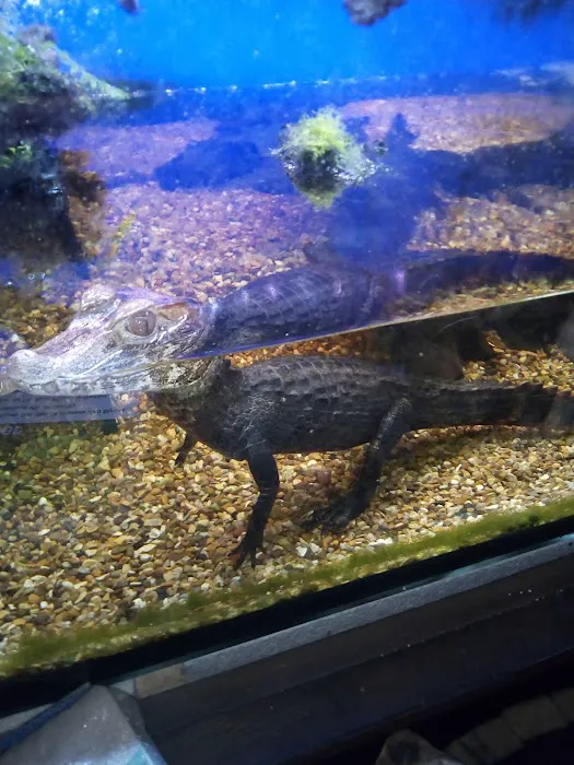 Exotic World Picture 3