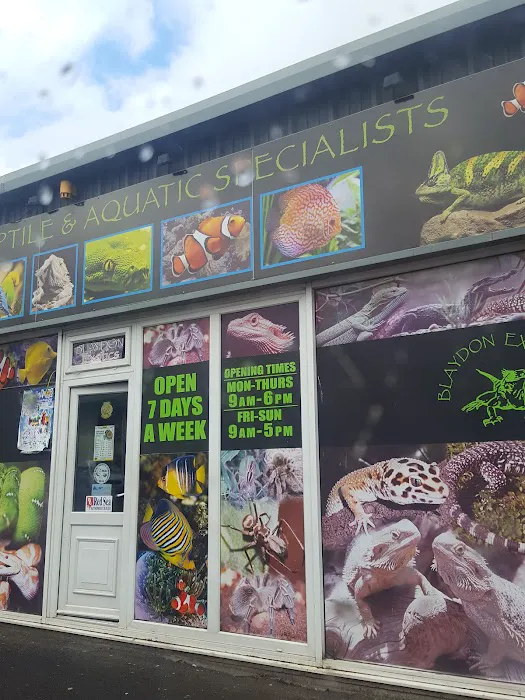 Exotic World Picture 1