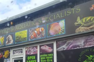 Auto Service Center