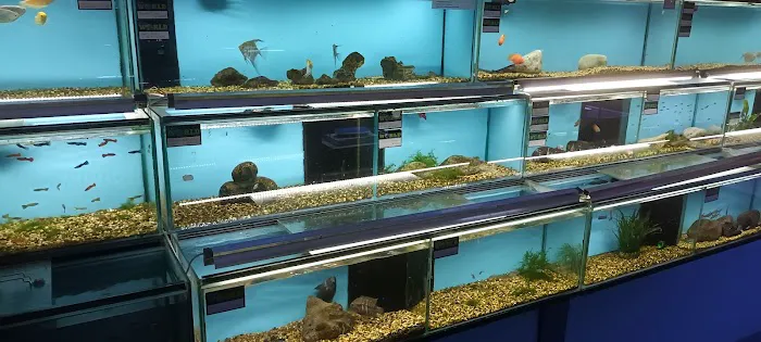 Exotic World Picture 6