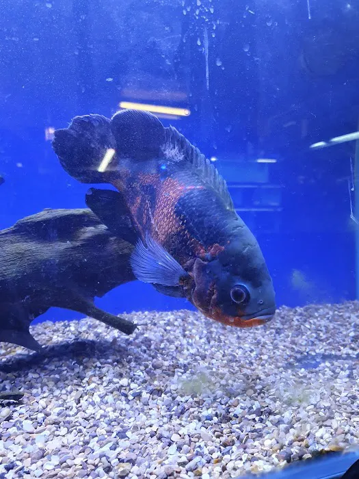 Exotic World Picture 7