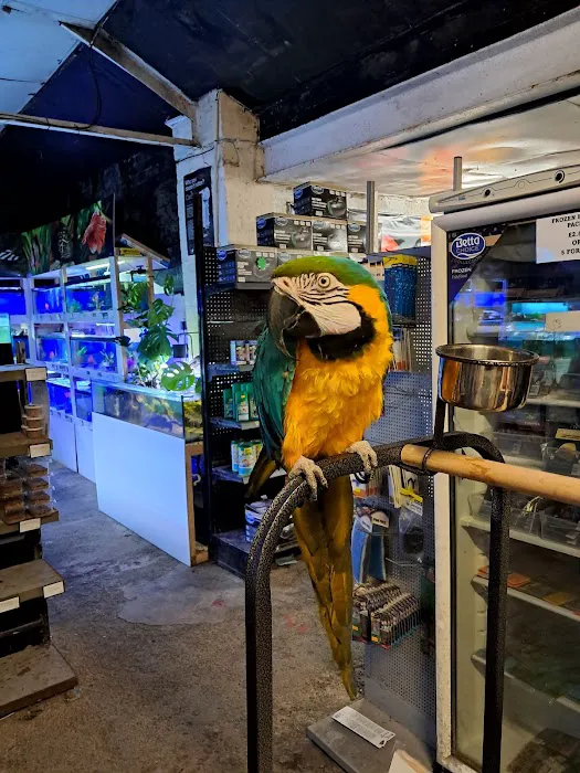 Exotic World Picture 10