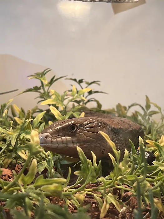 Exotic World Picture 5