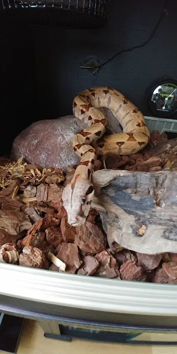 Exotic World Picture 8