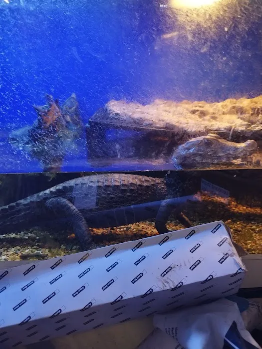 Exotic World Picture 9