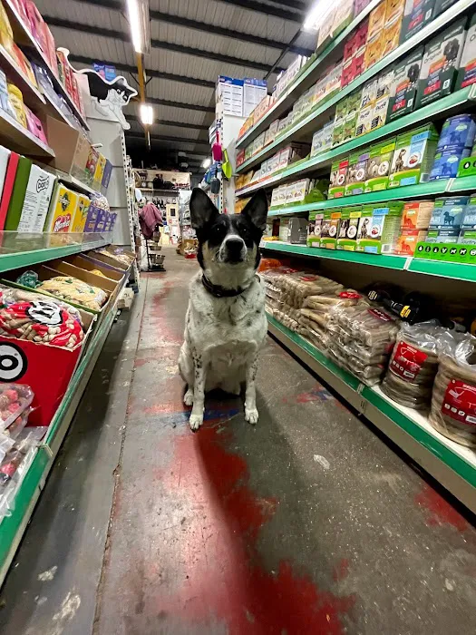Pet Warehouse Picture 3