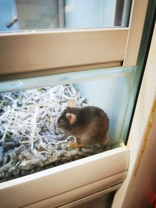 Jollyes - The Pet People Newcastle Picture 9