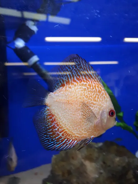 Jollyes - The Pet People Newcastle Picture 8