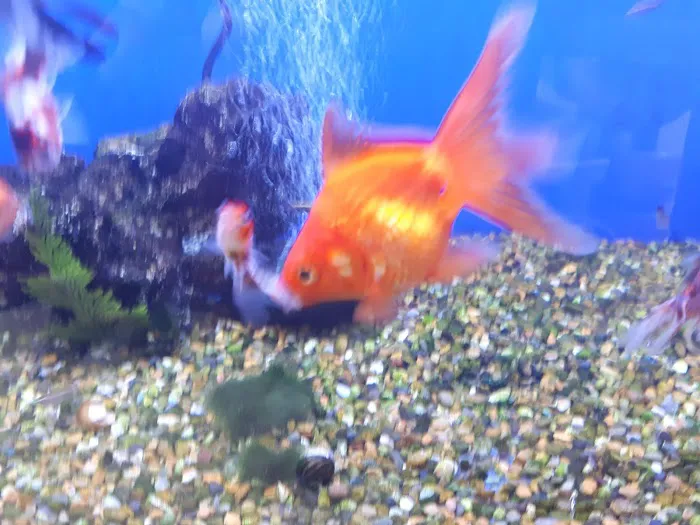 Jollyes - The Pet People Newcastle Picture 4