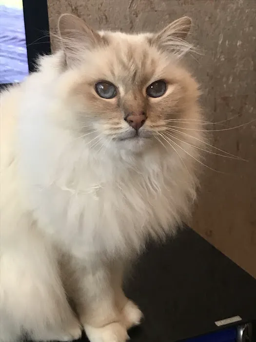 River Veterinary Care Picture 8
