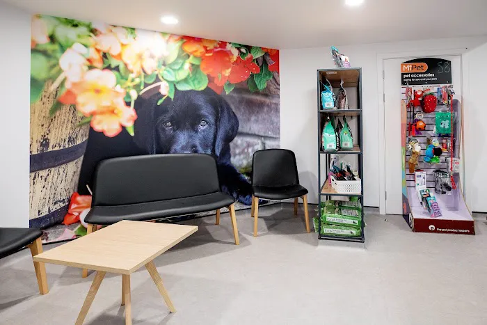 Alnorthumbria Veterinary Group - Ponteland Picture 4