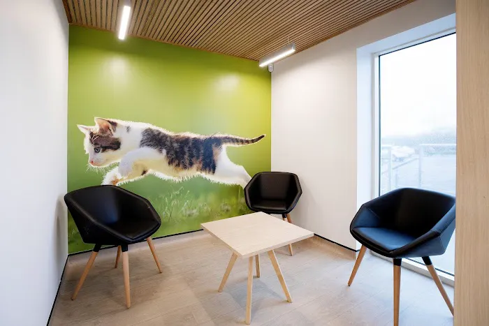 Alnorthumbria Veterinary Group - Ponteland Picture 2
