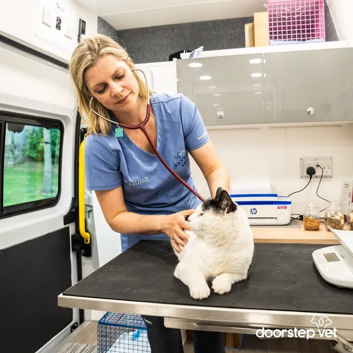 Doorstep Vet Picture 7