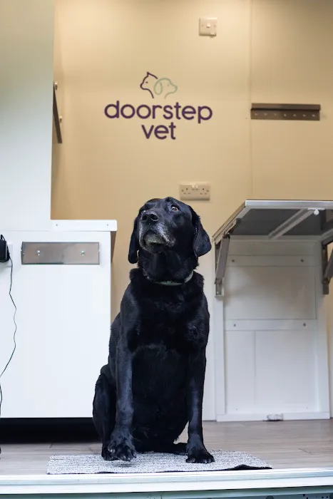 Doorstep Vet Picture 9