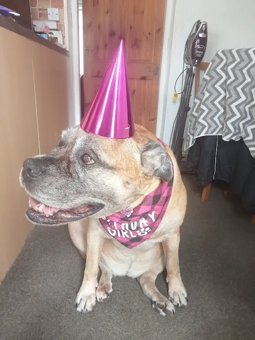 Sore Paws Veterinary Clinic Winlaton Picture 1