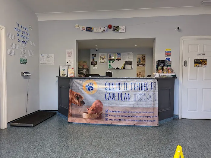 Sore Paws Veterinary Clinic Winlaton Picture 4