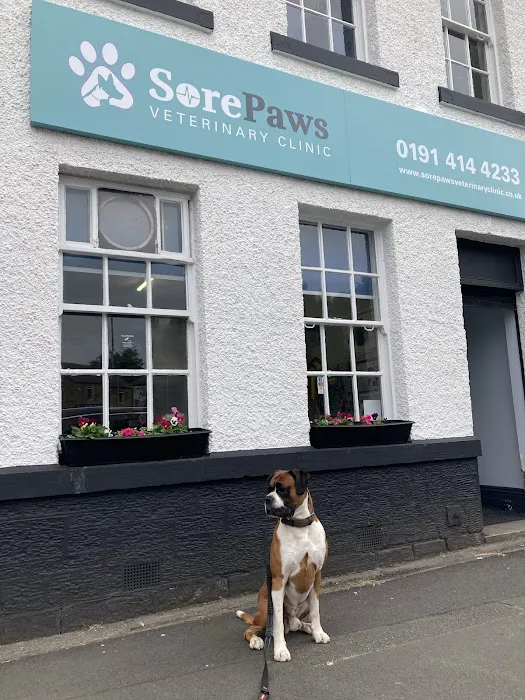 Sore Paws Veterinary Clinic Winlaton Picture 5