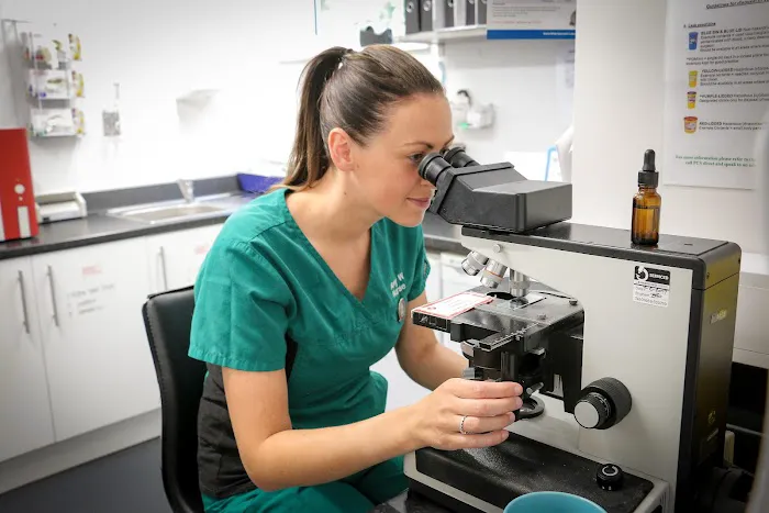 Westway Veterinary Group, Whickham Picture 4