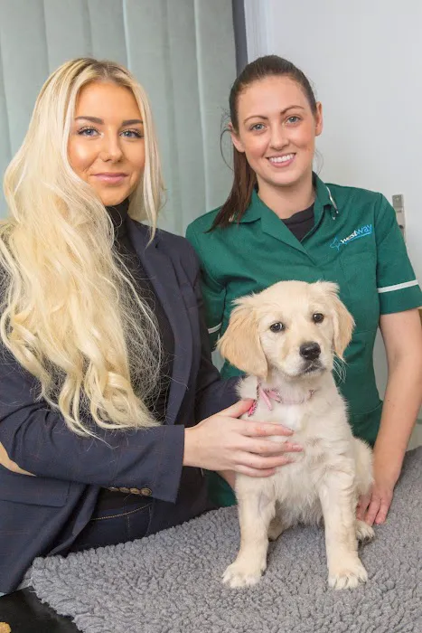Westway Veterinary Group, Whickham Picture 8