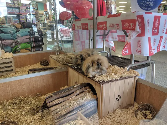 Pets at Home Gateshead Picture 9