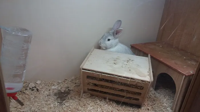 Pets at Home Gateshead Picture 1