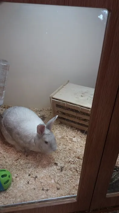 Pets at Home Gateshead Picture 3