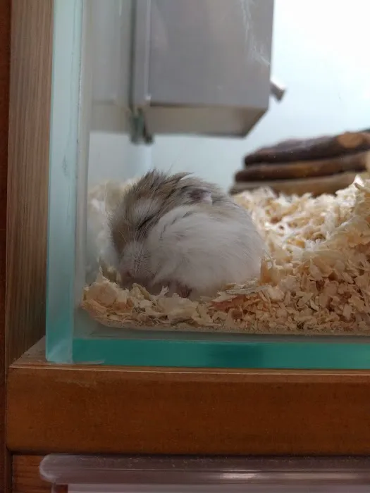 Pets at Home Gateshead Picture 6