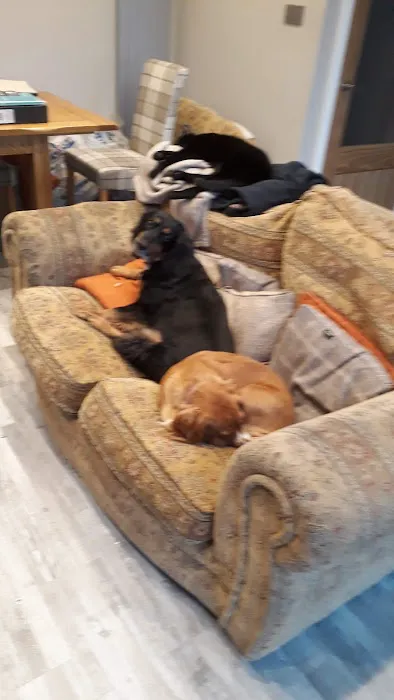 Pets at Home Gateshead Picture 2