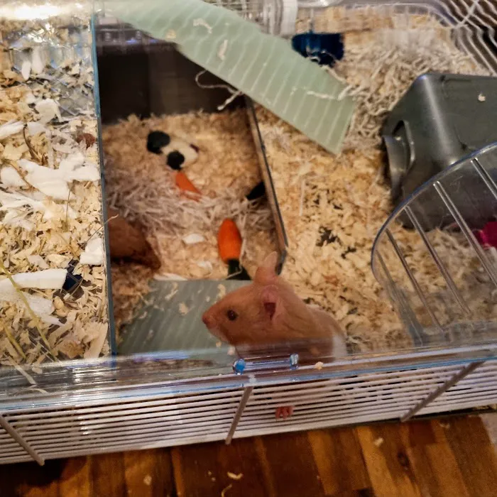 Pets at Home Gateshead Picture 7