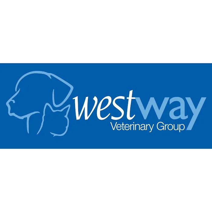 Westway Veterinary Group, Dog Clinic Picture 5