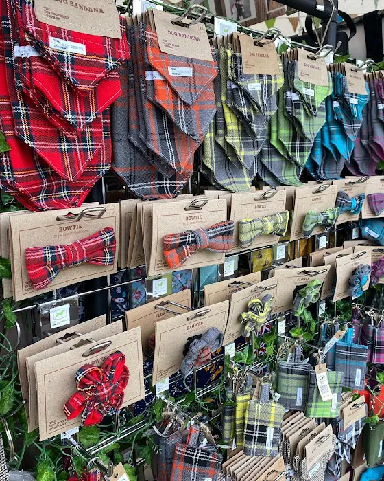 The Eco Dog Design Company Picture 10