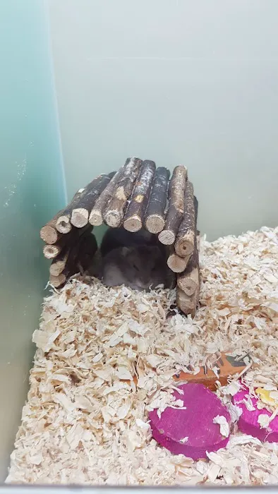 Pets at Home Newcastle Kingston Park Picture 8