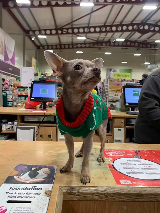 Pets at Home Newcastle Kingston Park Picture 1