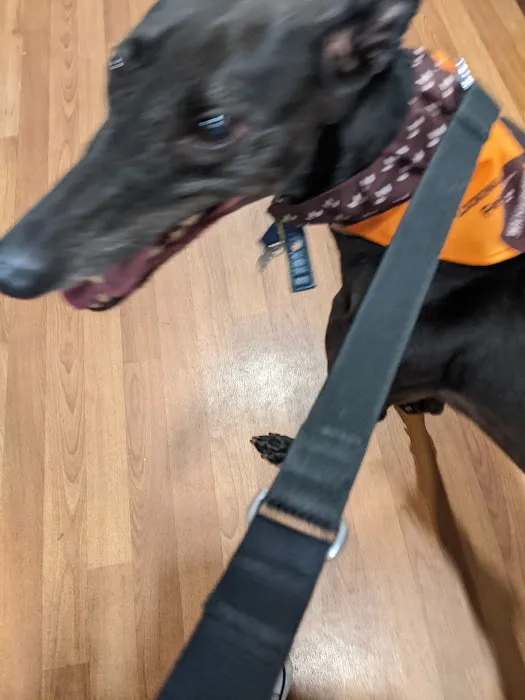 Pets at Home Newcastle Kingston Park Picture 3