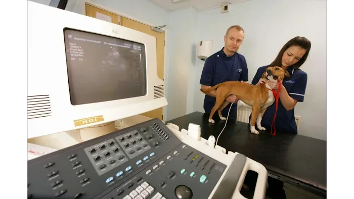 Westway Veterinary Hospital Picture 10