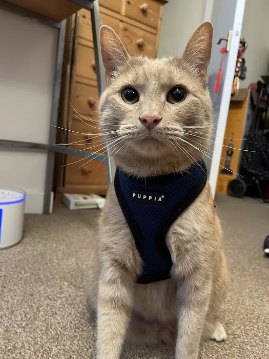 Robinson's Pet Store Picture 3