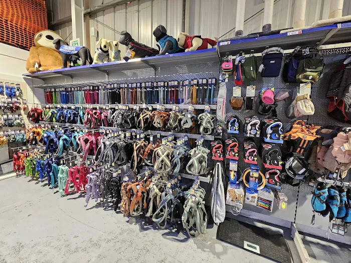 Direct Pets Team Valley Picture 4