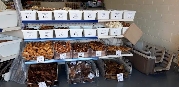 Direct Pets Team Valley Picture 6