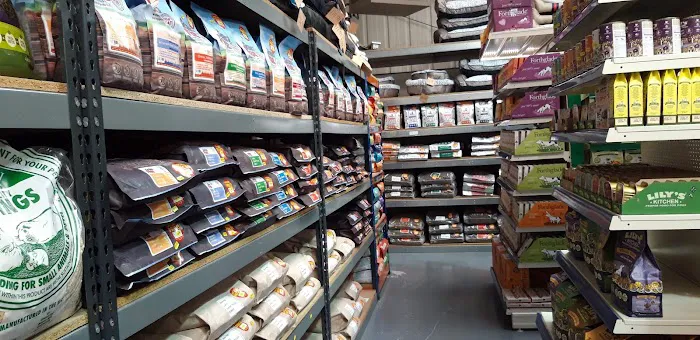 Direct Pets Team Valley Picture 1