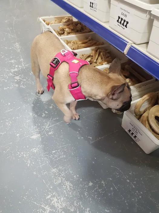 Direct Pets Team Valley Picture 3