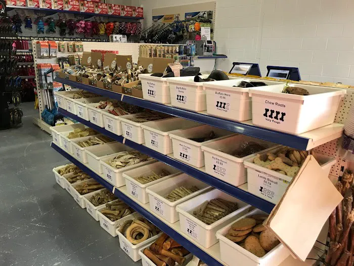 Direct Pets Team Valley Picture 8