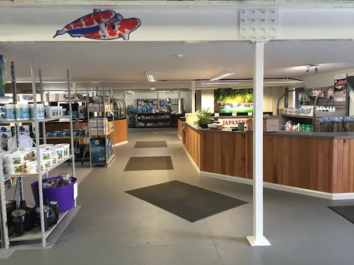 North East Koi Picture 2