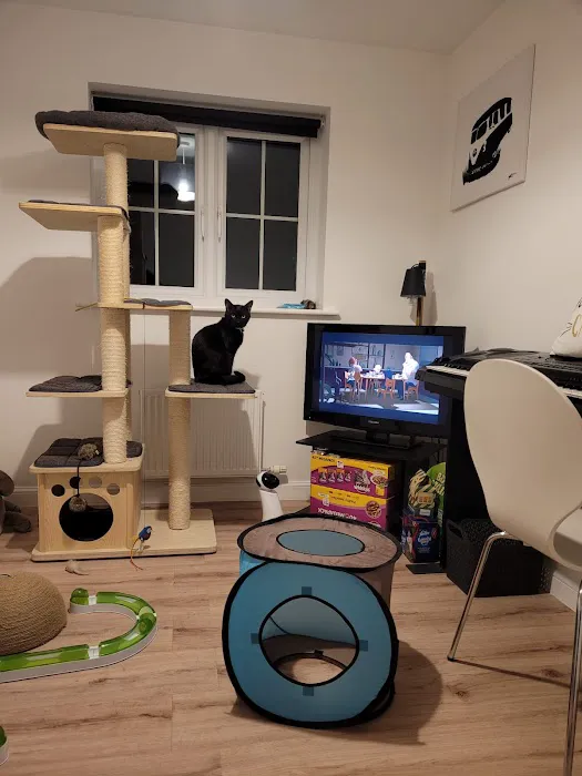 Durham Cat Hotel Picture 8