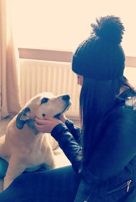 Pets 'n Bitz Picture 5