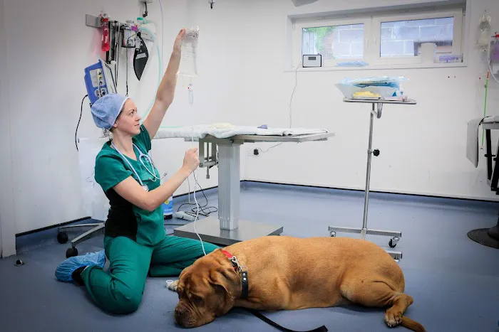 Westway Veterinary Group, Consett Picture 5