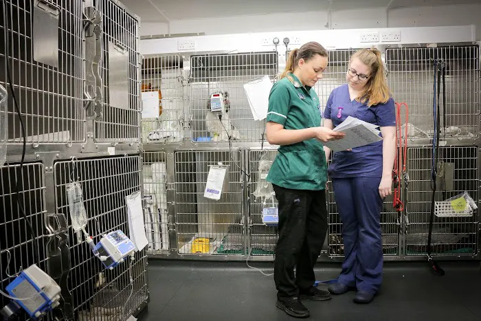 Westway Veterinary Group, Consett Picture 10