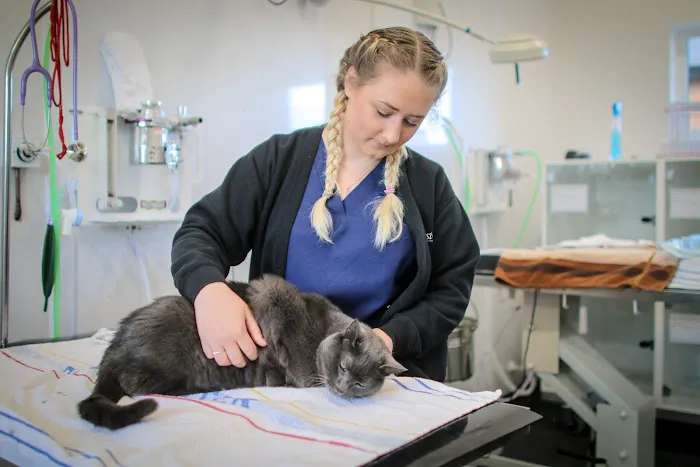 Westway Veterinary Group, Consett Picture 2