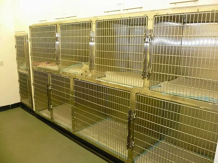 Prince Bishop Vets Picture 5